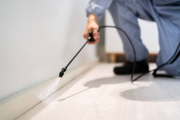 Licensed Mosquito Control service in Ipswich, SD - Show Me Pest Control