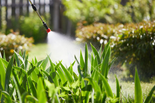 24/7 Emergency Mosquito Control experts in Ipswich, SD