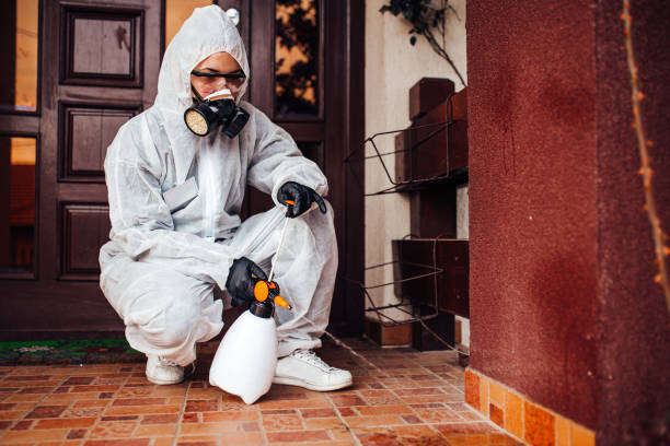 Reliable Mosquito Control contractor in Ipswich, SD by Show Me Pest Control